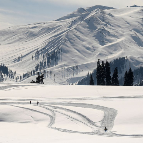 kashmir